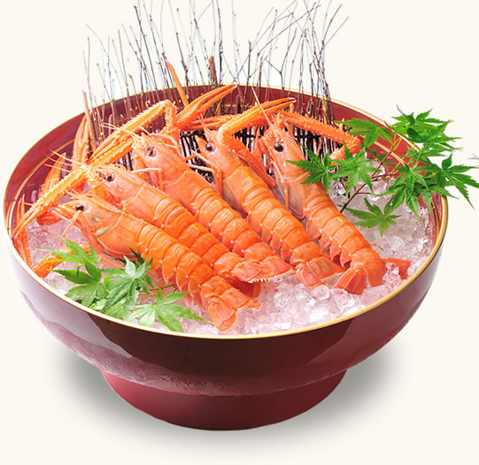 アカザエビ