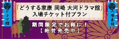 「どうする家康 岡崎 大河ドラマ館」入場券付きプランがお得すぎる！